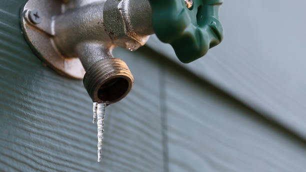 Best Affordable Plumber Near Me  in Fort Branch, IN